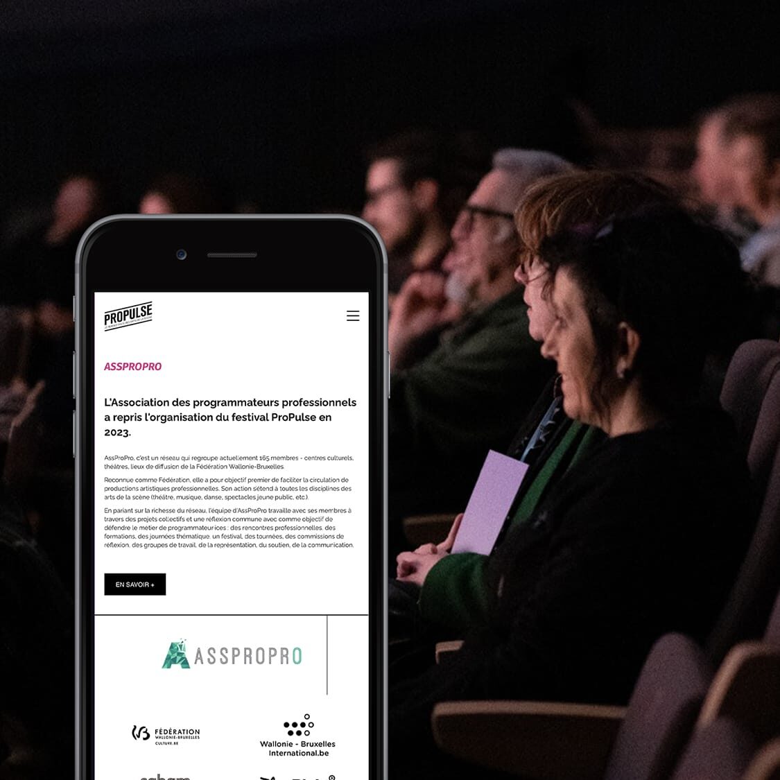 asspropro Création du site web Association des programmateurs professionnels